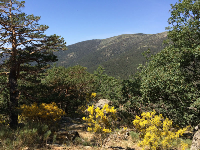 11.-Paisajes-en-la-Ruta-de-los-Miradores-de-los-Poetas.-Sierra-de-Guadarrama