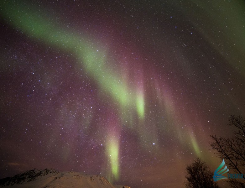 Auroras boreales cazadas por Tromsø Safari
