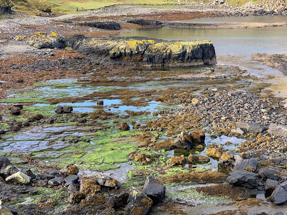 Paisajes de Brother's Point