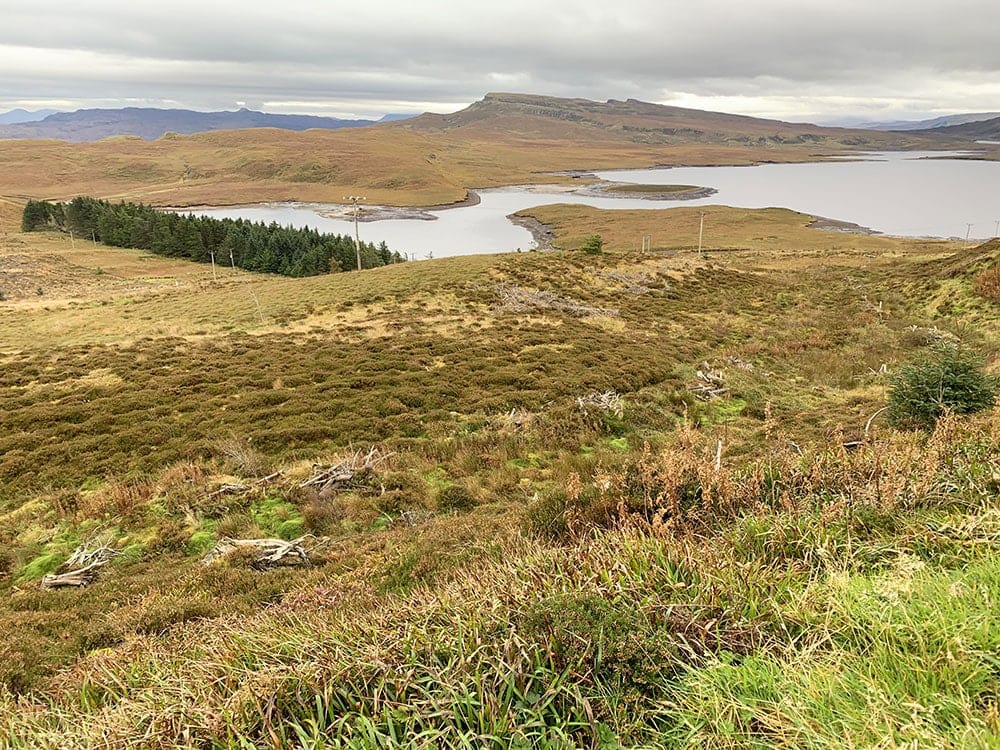 Paisajes del Old Man of Storr